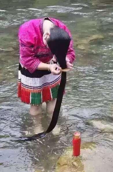 墨兰公主代理